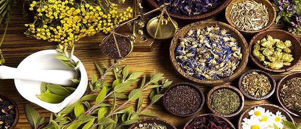عکس در مورد گیاهان دارویی
