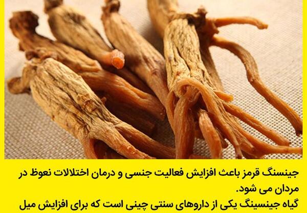 عکس در مورد گیاهان دارویی