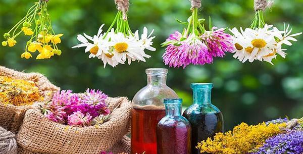 عکس در مورد گیاهان دارویی