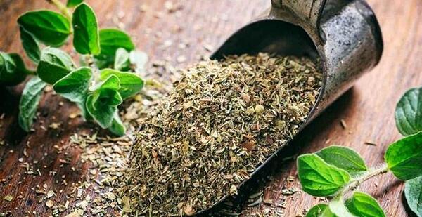 عکس در مورد گیاهان دارویی