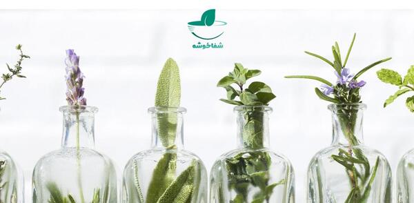 عکس در مورد گیاهان دارویی