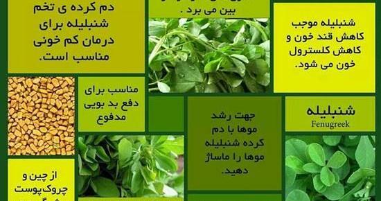 عکس در مورد گیاهان دارویی