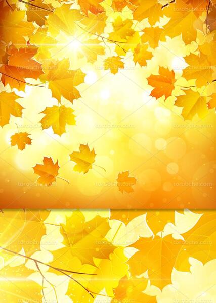 عکس تصویر پس زمینه پاییزی