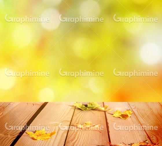 عکس تصویر پس زمینه پاییزی