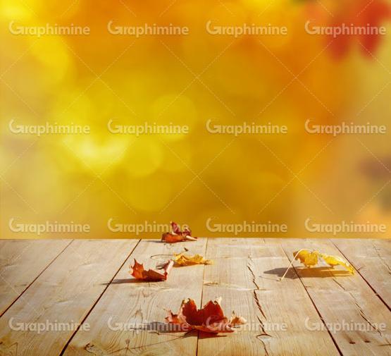 عکس تصویر پس زمینه پاییزی