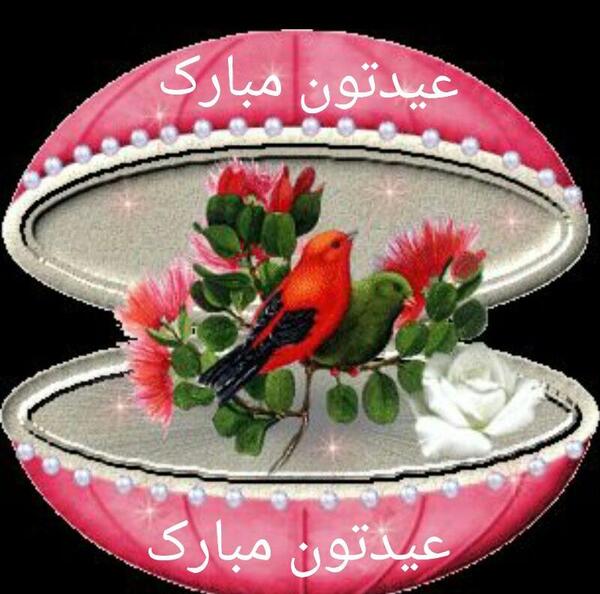 عکس عید شما مبارک