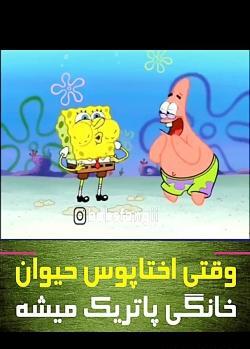 عکس باب اسفنجی ایرانی