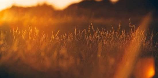 عکس تصویر پس زمینه طلوع خورشید