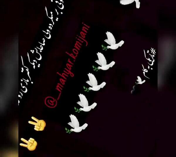 عکس نوشته کفتر لاتی