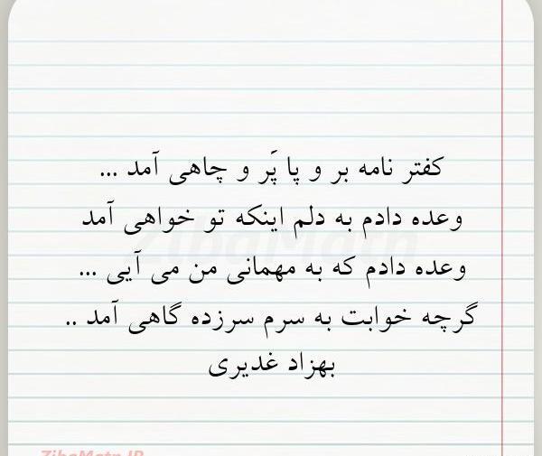 عکس نوشته کفتر لاتی