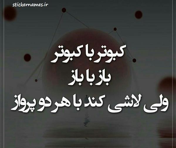 عکس نوشته کفتر لاتی