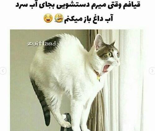 عکس روح مسخره
