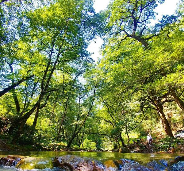 عکس در مورد طبیعت