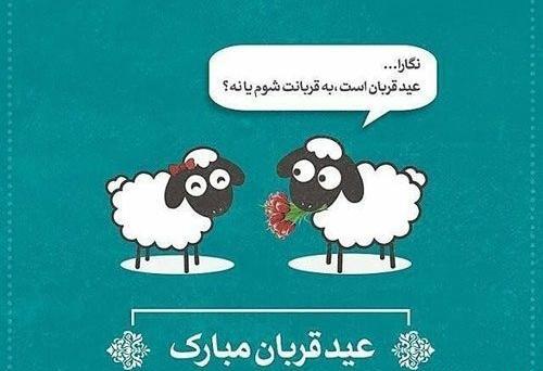 عکس عید قربان جدید