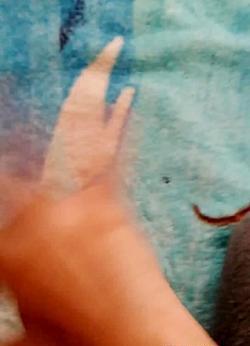 عکس بی تی اس از دیجی کالا