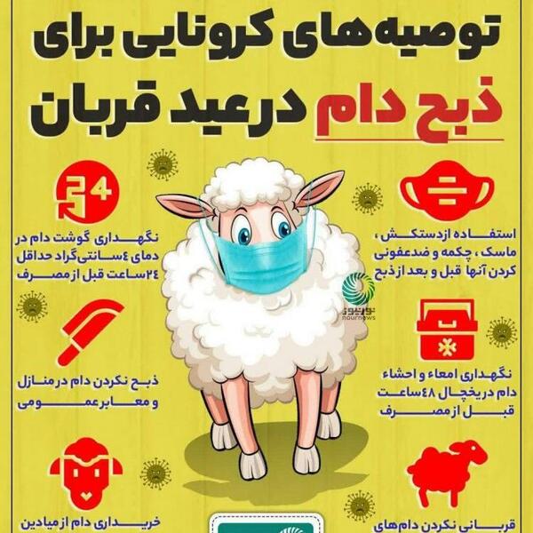 عکس تصاویر ذبح عید قربان