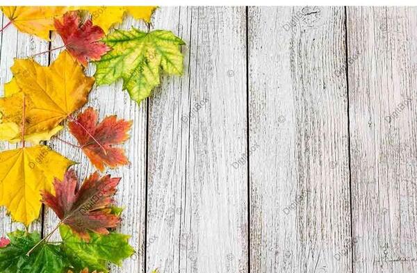 عکس پس زمینه پاییزی