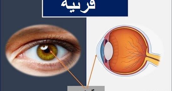 عکس در مورد چشم انسان