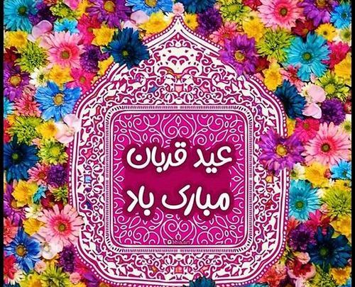عکس گل عید قربان