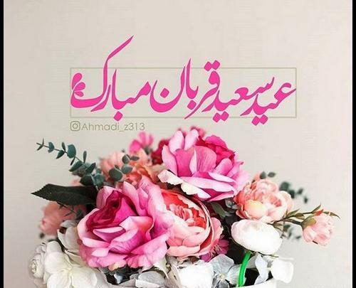 عکس گل عید قربان