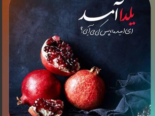 عکس در مورد یلدای فاطمی