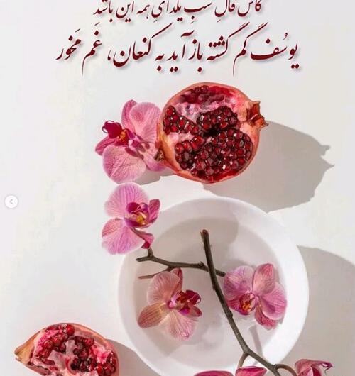 عکس در مورد یلدای فاطمی