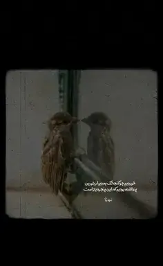 عکس مود دارک ویسگون