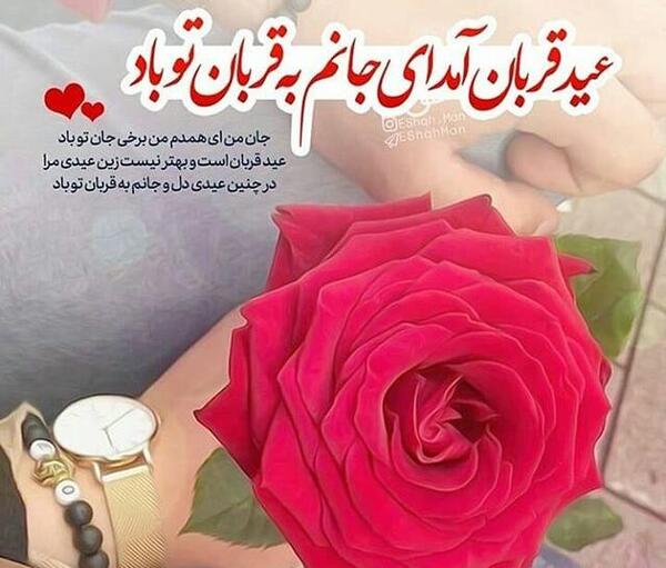 عکس واسه عید قربان