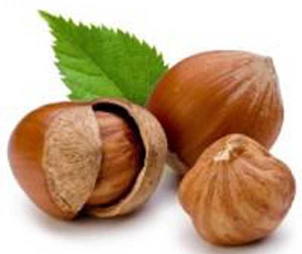 عکس کافه فندق دزفول