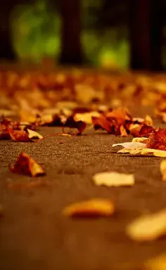 عکس تصویر پس زمینه فول اچ دی