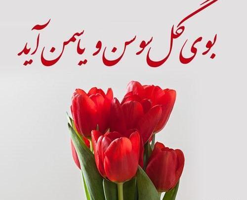 عکس در مورد دهه فجر