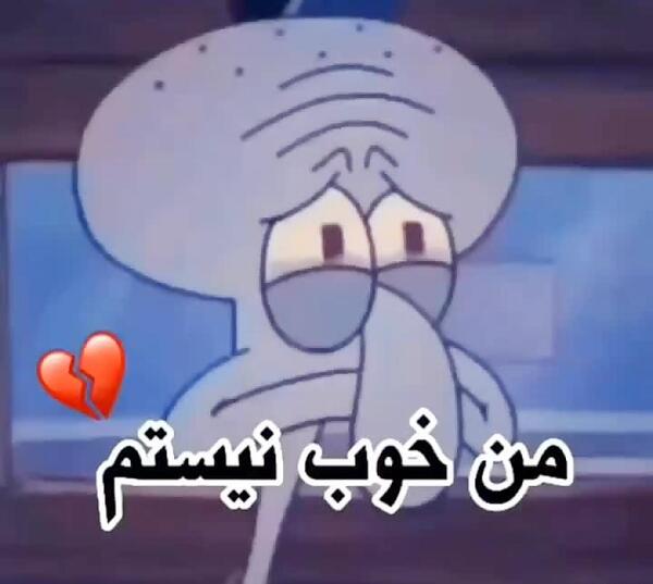 عکس مود از اختاپوس