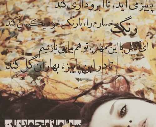 عکس در مورد آبروداری