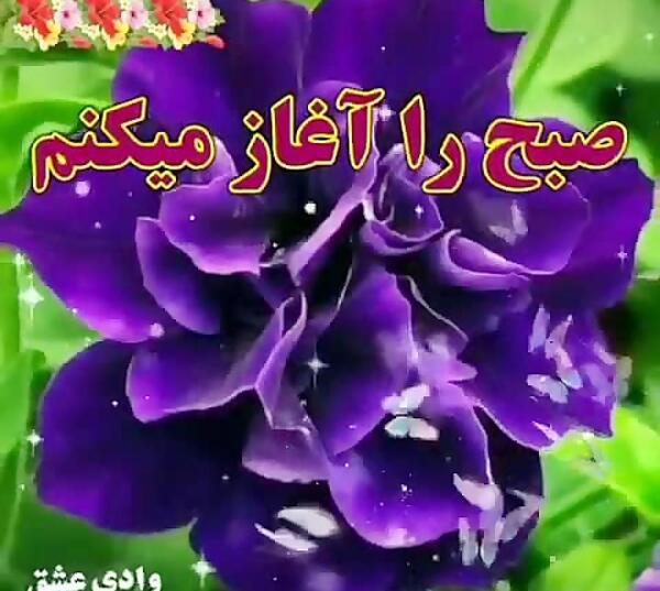 عکس در مورد صبح بخیر