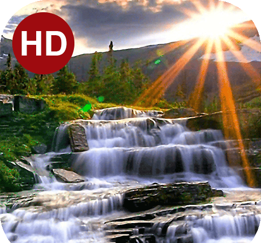 عکس پس زمینه زنده