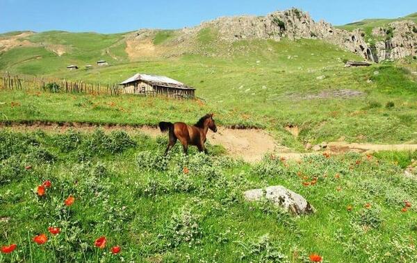 عکس روح در غار