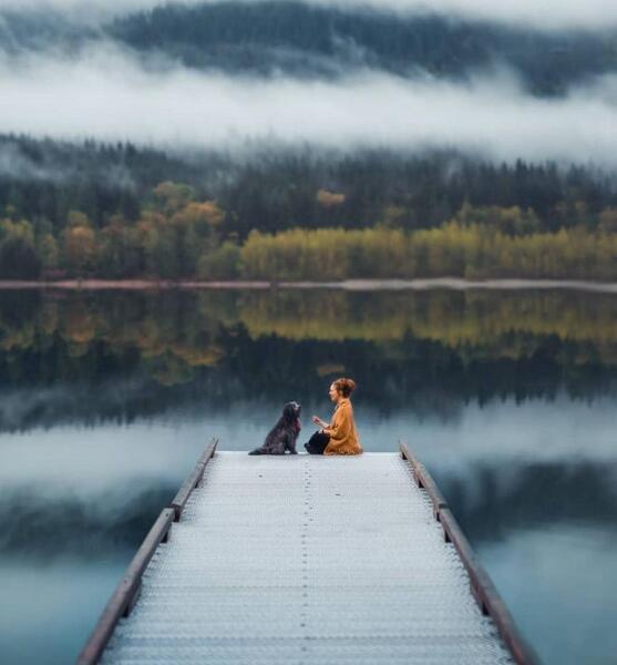 پس زمینه زیبا برای عکس