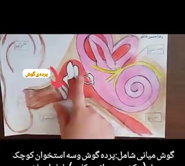 عکس در مورد گوش