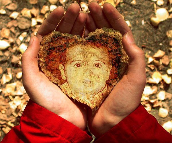 عکس چت گل