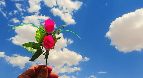 عکس در مورد هوای پاک