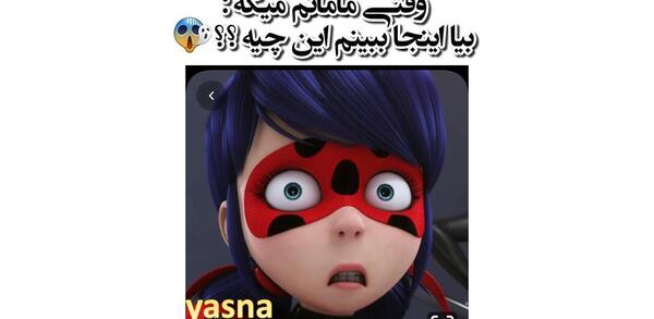 عکس کت نوار برای پس زمینه