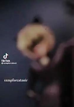 عکس جذاب از کت نوار