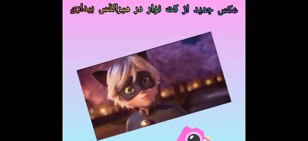 عکس جدید از کت نوار