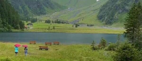 عکس لیدی باگ و کت نوار برای پس زمینه