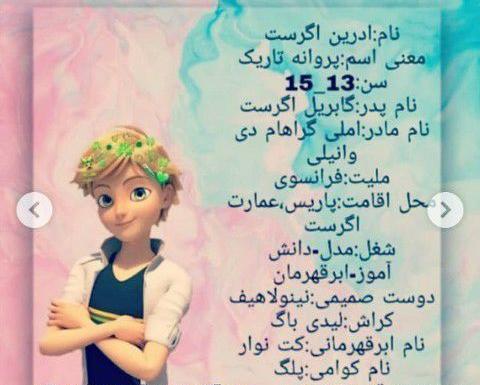 عکس کت نوار عصبانی