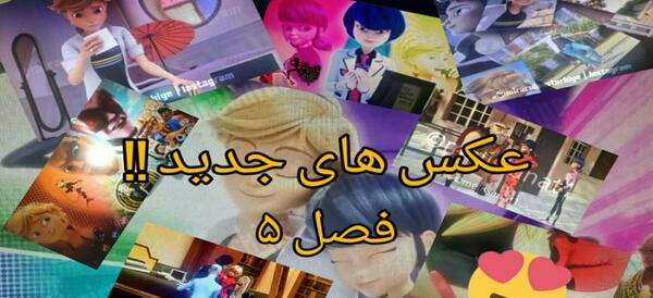 عکس لیدی نوار و مستر باگ