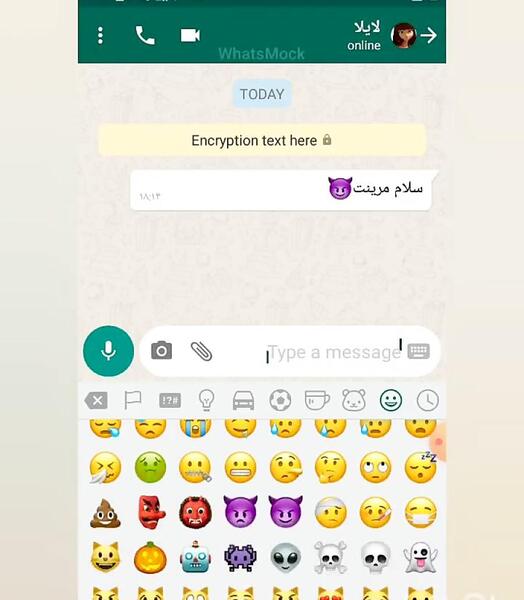 عکس چت مرینت و لایلا