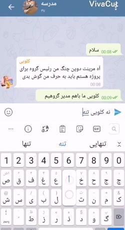عکس چت مرینت و لایلا