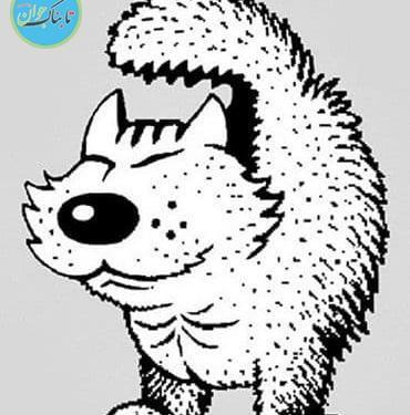 عکس خطای دید پیرمرد خوابیده