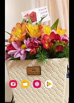 عکس دختر کفشدوزکی نقاشی آسان